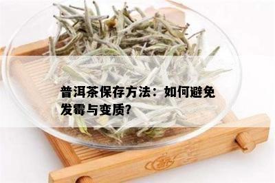 普洱茶保存方法：如何避免发霉与变质？