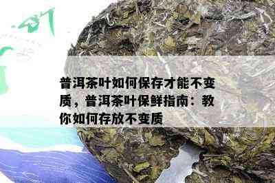 普洱茶叶如何保存才能不变质，普洱茶叶保鲜指南：教你如何存放不变质