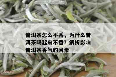 普洱茶怎么不香，为什么普洱茶喝起来不香？解析影响普洱茶香气的因素