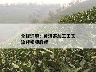 全程详解：普洱茶加工工艺流程视频教程