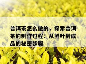 普洱茶怎么做的，探索普洱茶的制作过程：从鲜叶到成品的秘密步骤