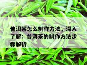 普洱茶怎么制作方法，深入了解：普洱茶的制作方法步骤解析