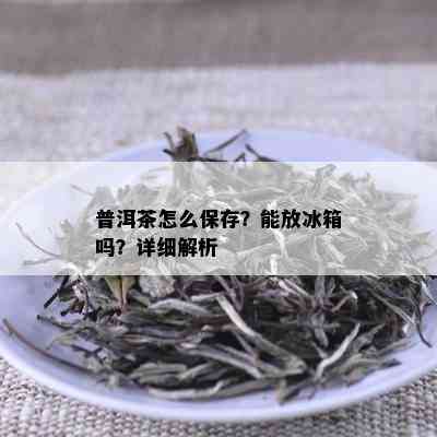 普洱茶怎么保存？能放冰箱吗？详细解析