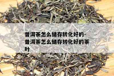 普洱茶怎么储存转化好的-普洱茶怎么储存转化好的茶叶