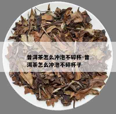 普洱茶怎么冲泡不碎杯-普洱茶怎么冲泡不碎杯子