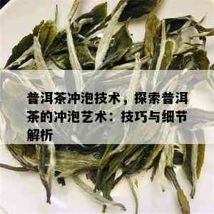 普洱茶冲泡技术，探索普洱茶的冲泡艺术：技巧与细节解析