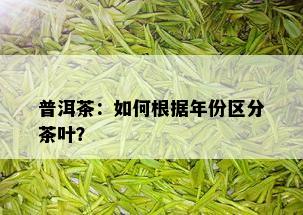 普洱茶：如何根据年份区分茶叶？