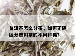 普洱茶怎么分茶，如何正确区分普洱茶的不同种类？