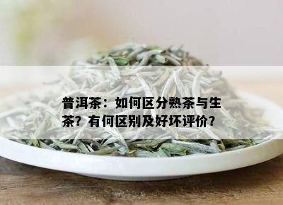 普洱茶：如何区分熟茶与生茶？有何区别及好坏评价？