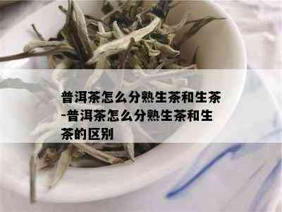 普洱茶怎么分熟生茶和生茶-普洱茶怎么分熟生茶和生茶的区别