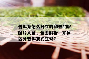 普洱茶怎么分生的和熟的呢图片大全，全图解析：如何区分普洱茶的生熟？