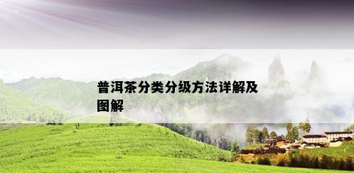 普洱茶分类分级方法详解及图解