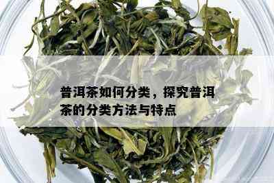 普洱茶如何分类，探究普洱茶的分类方法与特点