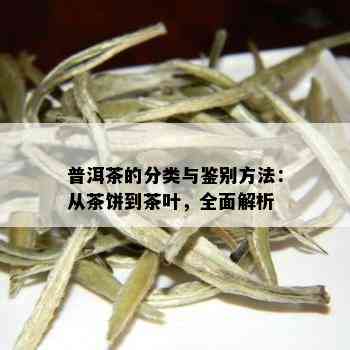 普洱茶的分类与鉴别方法：从茶饼到茶叶，全面解析