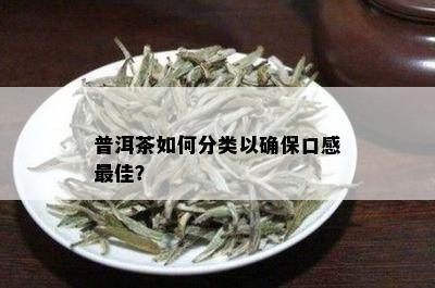 普洱茶如何分类以确保口感更佳？