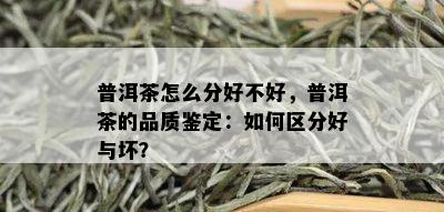 普洱茶怎么分好不好，普洱茶的品质鉴定：如何区分好与坏？