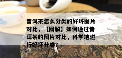 普洱茶怎么分类的好坏图片对比，【图解】如何通过普洱茶的图片对比，科学地进行好坏分类？