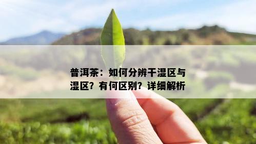 普洱茶：如何分辨干湿区与湿区？有何区别？详细解析