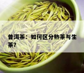 普洱茶：如何区分熟茶与生茶？