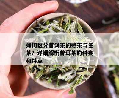 如何区分普洱茶的熟茶与生茶？详细解析普洱茶的种类和特点