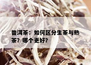 普洱茶：如何区分生茶与熟茶？哪个更好？