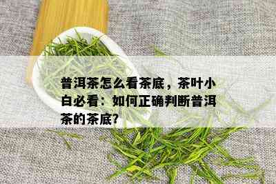 普洱茶怎么看茶底，茶叶小白必看：如何正确判断普洱茶的茶底？