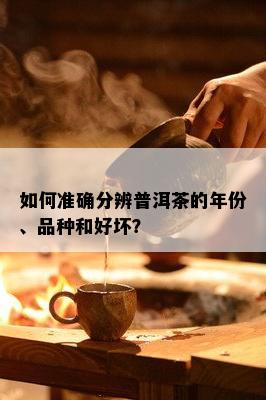 如何准确分辨普洱茶的年份、品种和好坏？