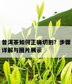 普洱茶如何正确切割？步骤详解与图片展示