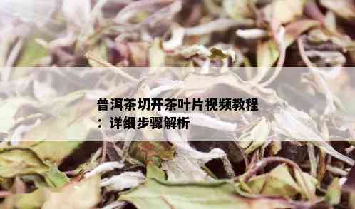 普洱茶切开茶叶片视频教程：详细步骤解析