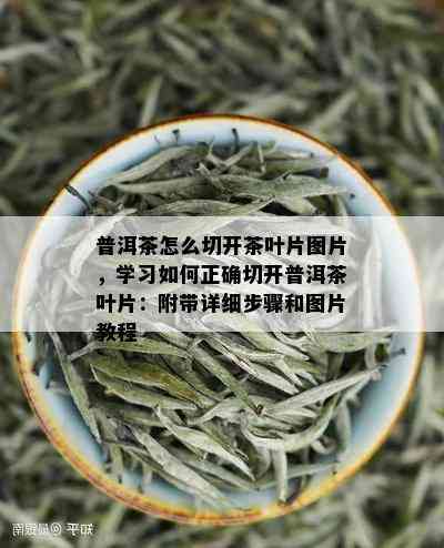 普洱茶怎么切开茶叶片图片，学习如何正确切开普洱茶叶片：附带详细步骤和图片教程