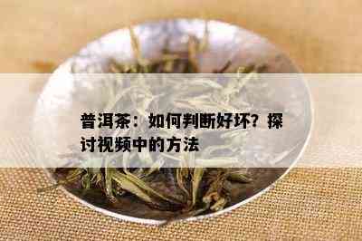 普洱茶：如何判断好坏？探讨视频中的方法