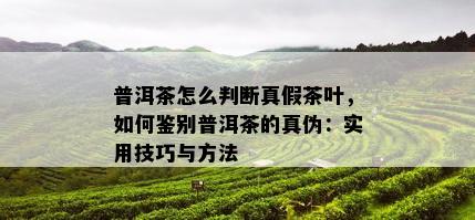 普洱茶怎么判断真假茶叶，如何鉴别普洱茶的真伪：实用技巧与方法