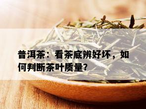 普洱茶：看茶底辨好坏，如何判断茶叶质量？