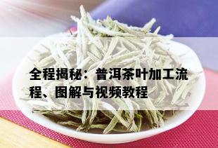 全程揭秘：普洱茶叶加工流程、图解与视频教程