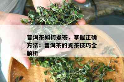 普洱茶如何煮茶，掌握正确方法：普洱茶的煮茶技巧全解析