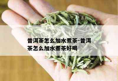 普洱茶怎么加水煮茶-普洱茶怎么加水煮茶好喝