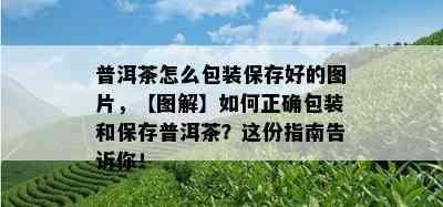 普洱茶怎么包装保存好的图片，【图解】如何正确包装和保存普洱茶？这份指南告诉你！