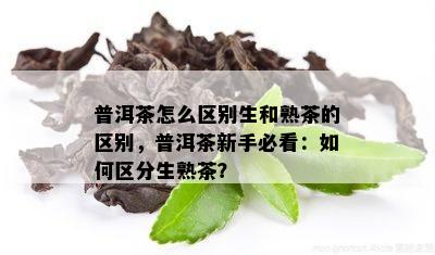 普洱茶怎么区别生和熟茶的区别，普洱茶新手必看：如何区分生熟茶？