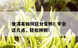 普洱茶如何区分生熟？学会这几点，轻松辨别！