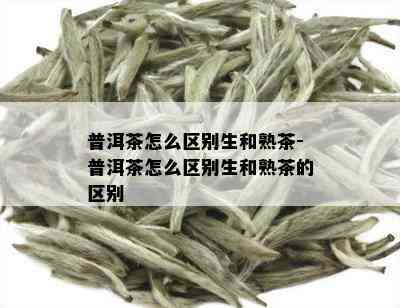 普洱茶怎么区别生和熟茶-普洱茶怎么区别生和熟茶的区别