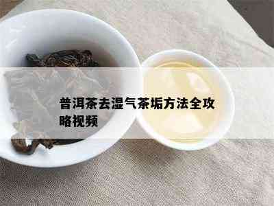 普洱茶去湿气茶垢方法全攻略视频