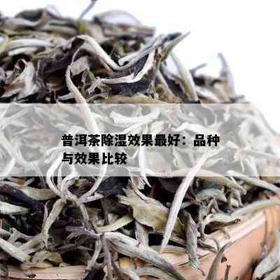 普洱茶除湿效果更好：品种与效果比较