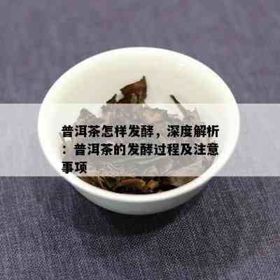 普洱茶怎样发酵，深度解析：普洱茶的发酵过程及注意事项