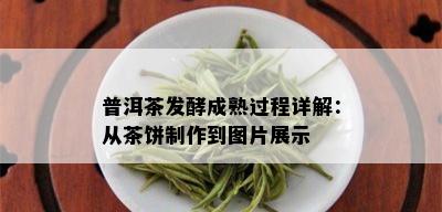 普洱茶发酵成熟过程详解：从茶饼制作到图片展示