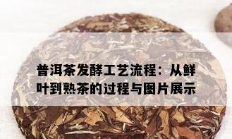 普洱茶发酵工艺流程：从鲜叶到熟茶的过程与图片展示