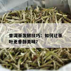 普洱茶发酵技巧：如何让茶叶更香醇美味？