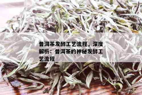 普洱茶发酵工艺流程，深度解析：普洱茶的神秘发酵工艺流程