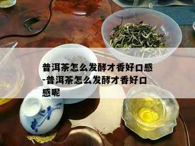 普洱茶怎么发酵才香好口感-普洱茶怎么发酵才香好口感呢