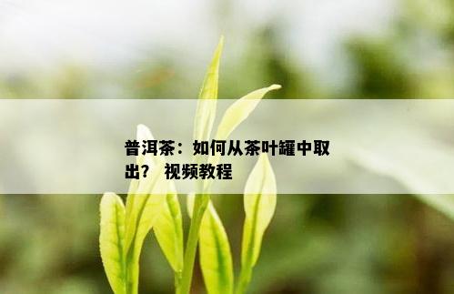 普洱茶：如何从茶叶罐中取出？ 视频教程