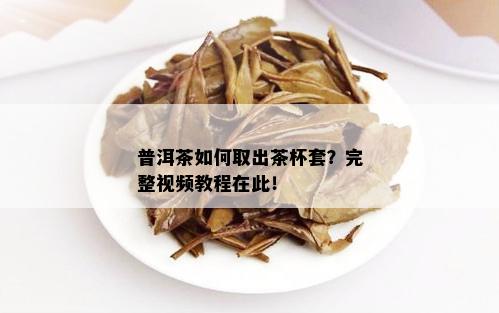 普洱茶如何取出茶杯套？完整视频教程在此！